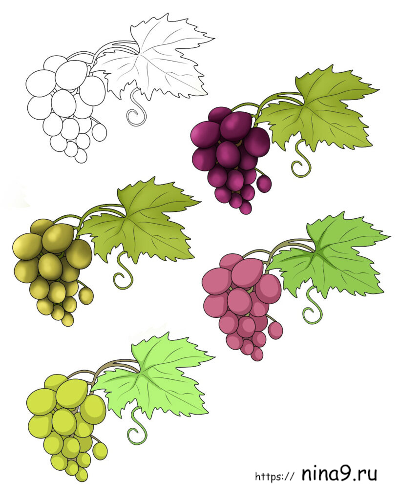 Как нарисовать виноград 🎨 Картинки для срисовки.