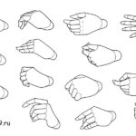 Референс кисть руки. Как нарисовать пальцы рук. Позы руки, рука для срисовки